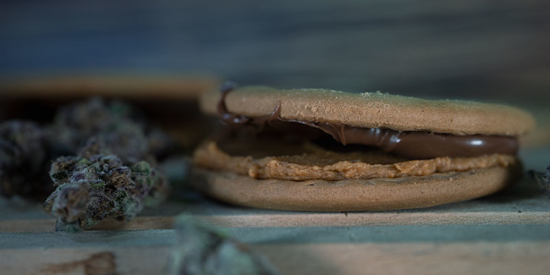 What Are Cannabis Firecrackers? What Are Cannabis Firecrackers?