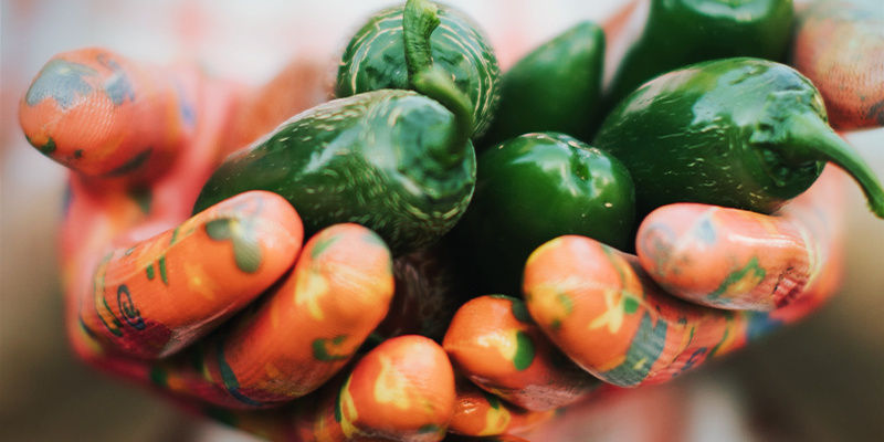 Always Handle Chilli Peppers With Care Always Handle Chilli Peppers With Care