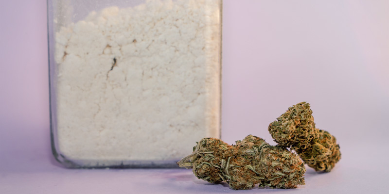 What exactly Is Cannabis Powder? What exactly is cannabis powder?