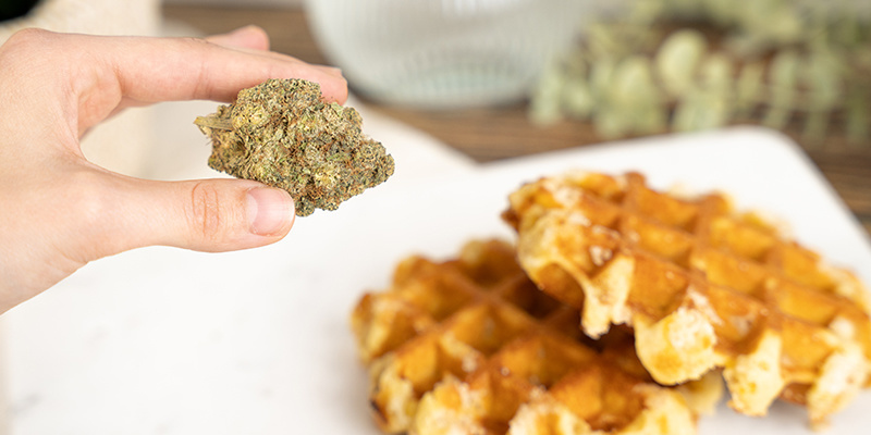 Risks Of Eating Weed Waffles Risks Of Eating Weed Waffles